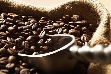 印度乘客误拉刹车链多人跳火车被撞 已致至少12人死亡